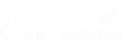 Voice of Rescue